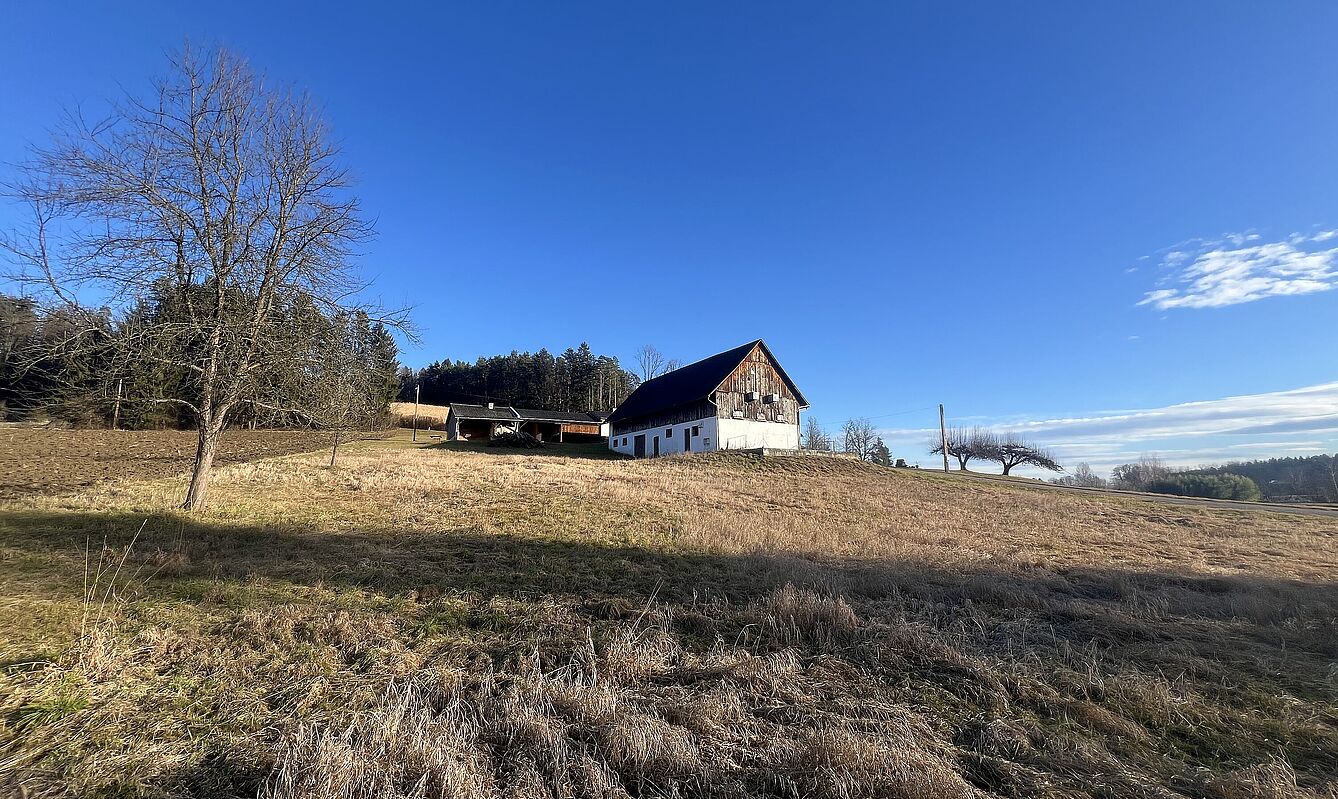 7,8 ha Scheibengrund mit sanierungsbedürftigen Haus Weststeiermark, Bezirk Stainz